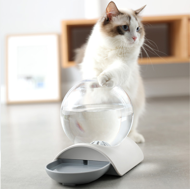 Bubble Automatic Cat Water Dispenser