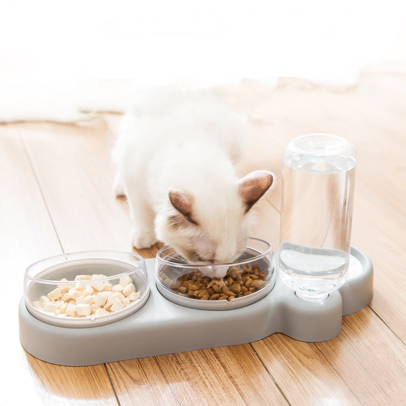 Cat Bowl Feeder Double Bowl With Water Bottle (8)