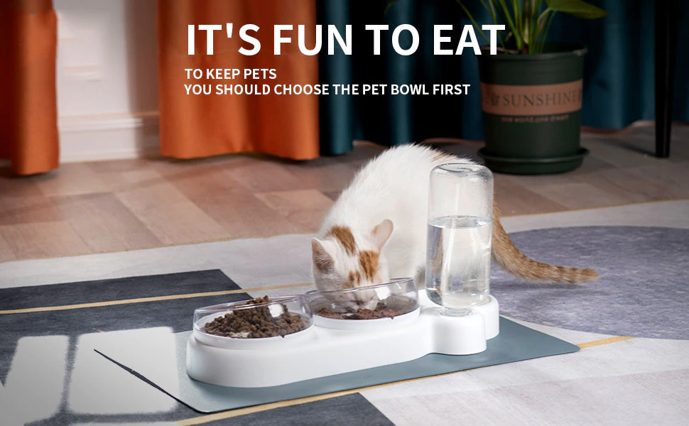 Cat Bowl Feeder Double Bowl With Water Bottle (8)