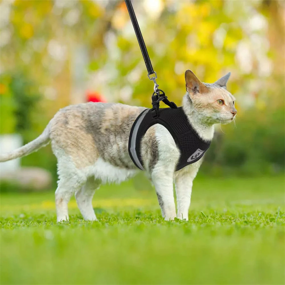 Cat Leash and Harness for Walking Adjustable and soft and breathable