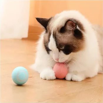 Smart Ball Cat Toy Interactive: Elevating Feline Fun